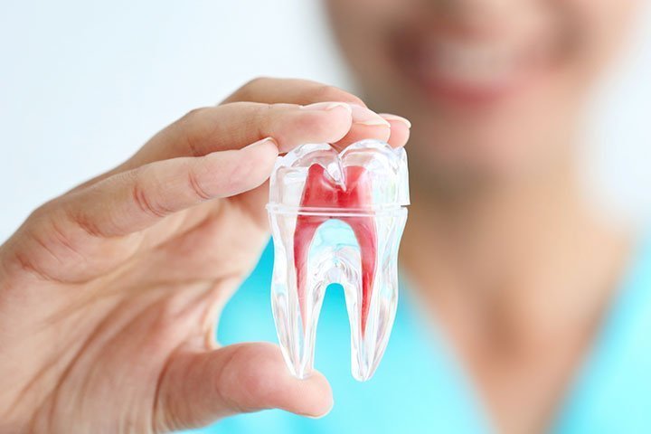 Endodoncia